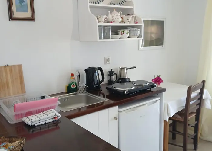 στούντιο σκοπελίτης 2